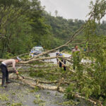 Respon Cepat Kasat Lantas Bersihkan Pohon Tumbang